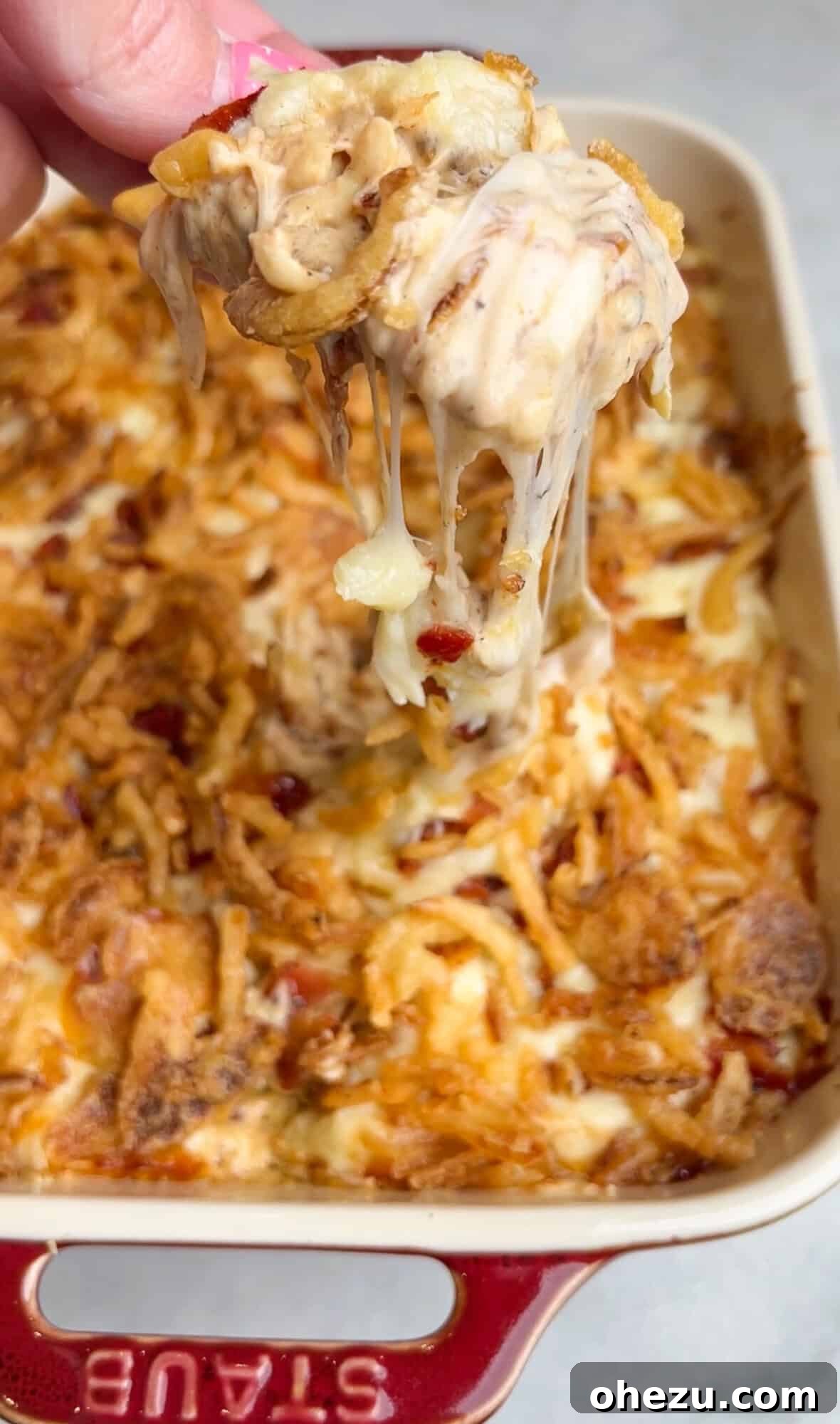 A cracker pulling melted cheese and caramelized onion dip from the pan