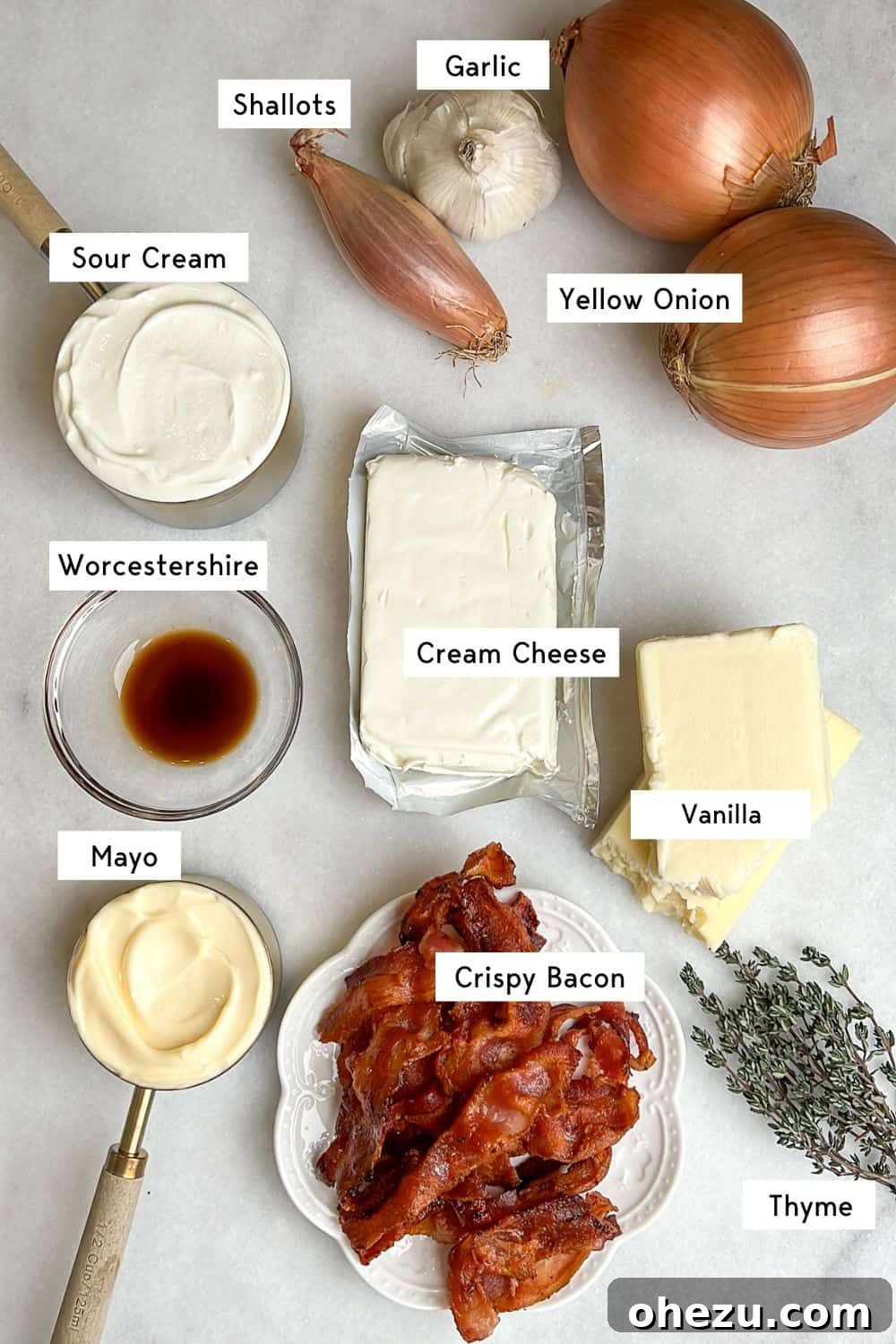 Ingredients for hot caramelized onion dip measured out on a counter