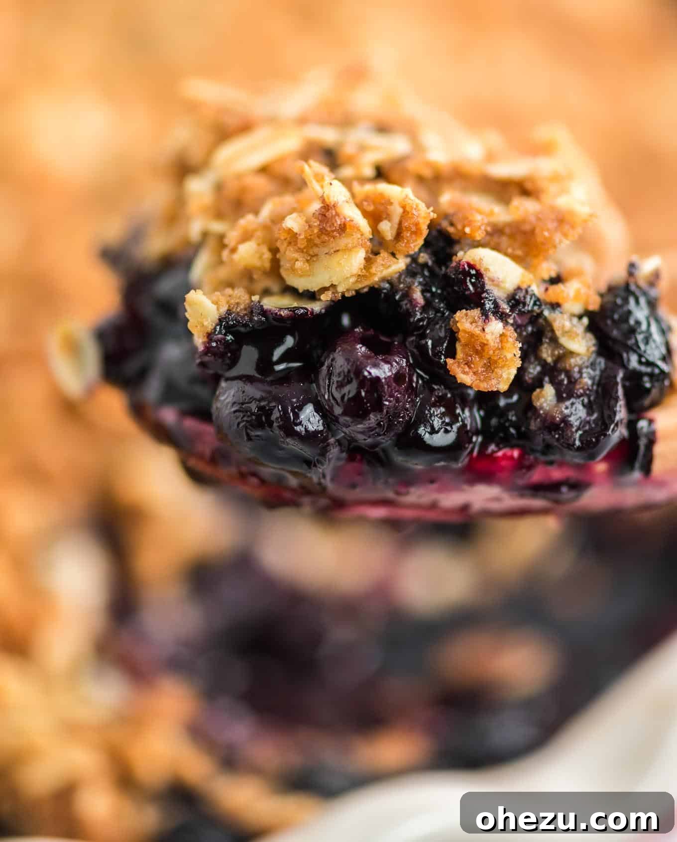 Up close image of the finished blueberry crisp, highlighting the bubbling filling and crunchy oat topping