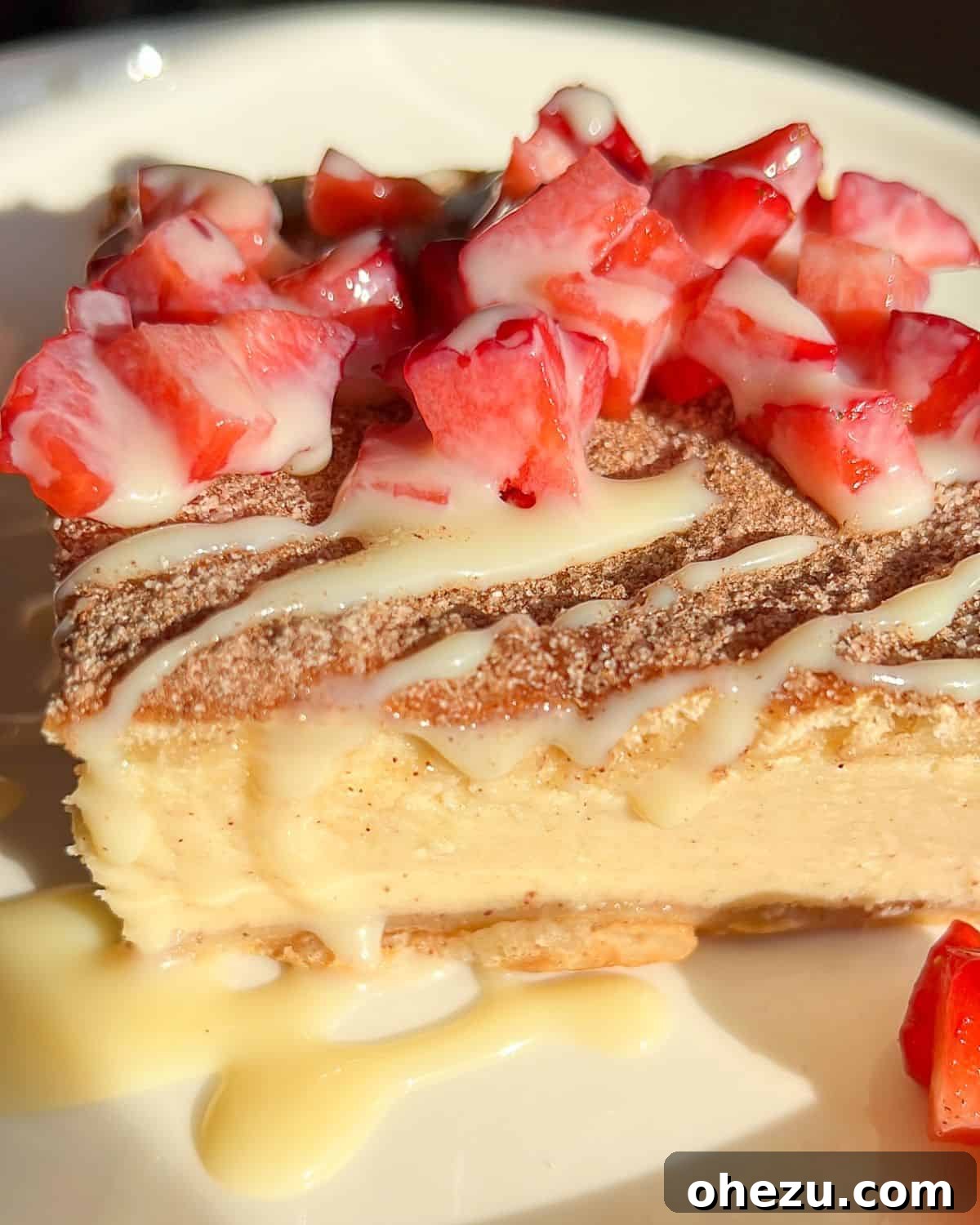 Over 20 Must-Try Recipes for Your Memorial Day Cookout 22 Easy Crescent Roll Churro Cheesecake Recipe, a delightful dessert.