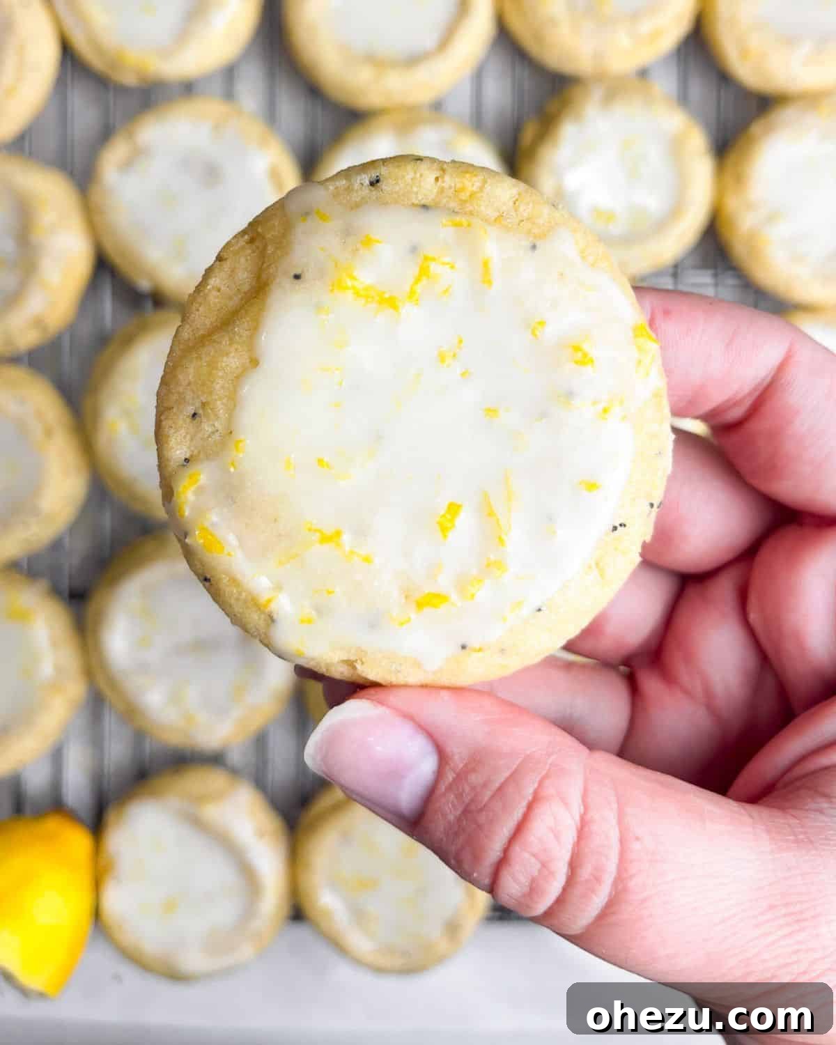 Over 20 Must-Try Recipes for Your Memorial Day Cookout 24 Soft-Baked Lemon Poppy Seed Cookies, a perfectly tart and refreshing dessert.