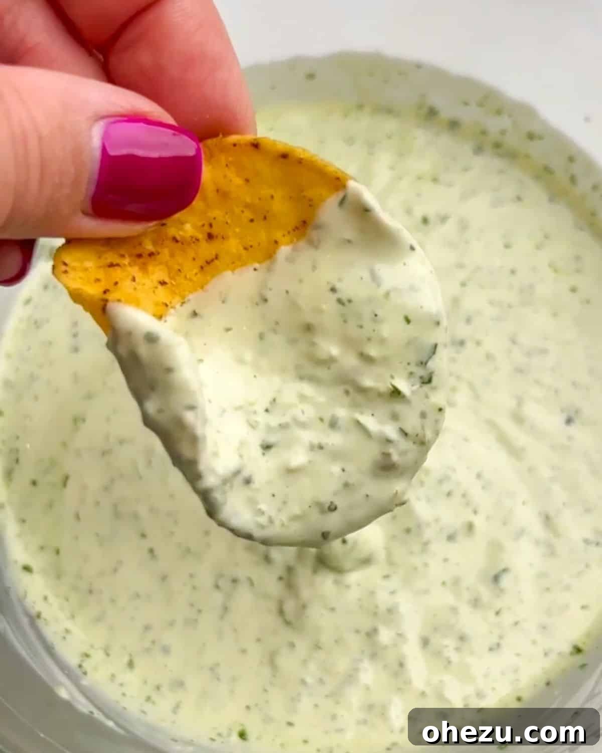 Over 20 Must-Try Recipes for Your Memorial Day Cookout 6 Copycat Chuy's Creamy Jalapeno Dip, perfect with tortilla chips.