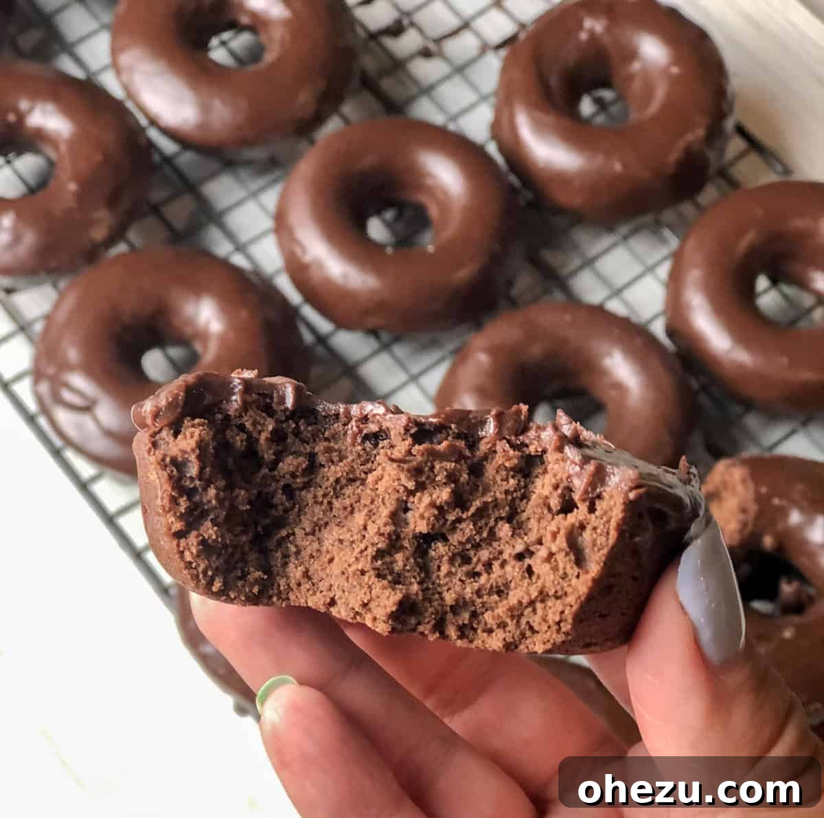 Assorted homemade Entenmann's Devil's Food Donuts