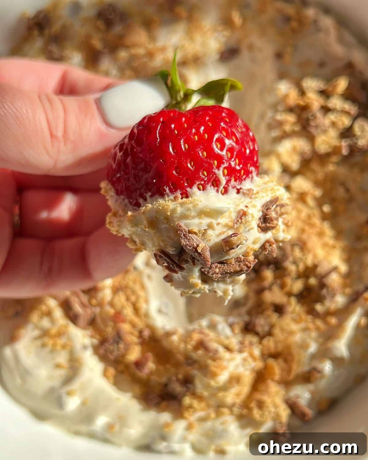Gooey Smores Treat 2 no bake smores dip with a strawberry