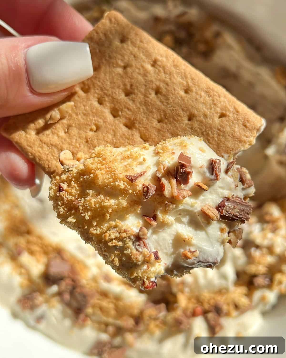Gooey Smores Treat 3 s'mores dip on a graham cracker