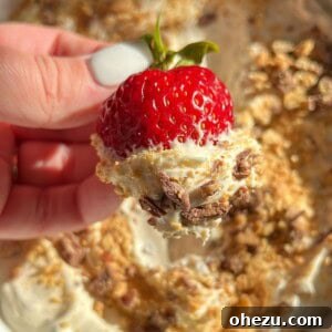 Gooey Smores Treat 9 no bake smores dip with strawberries for dipping