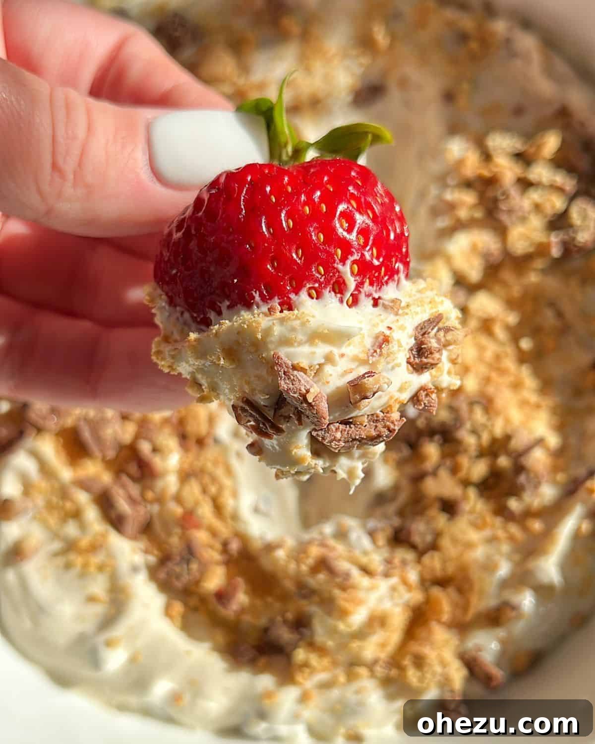 A sweet S'mores Dip with melted marshmallows, chocolate chunks, and graham crackers.