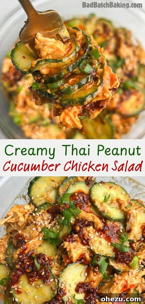creamy peanut Thai cucumber salad with chicken