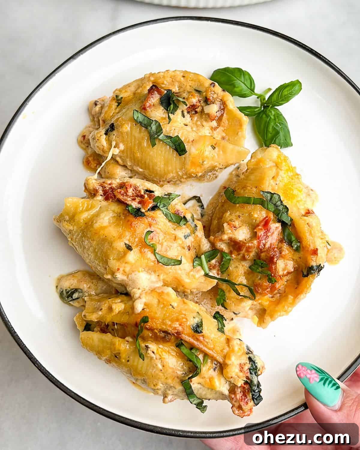 A beautifully plated serving of Marry Me Chicken Stuffed Shells, highlighting its delicious appeal. A hand presenting a plate of freshly baked Marry Me Chicken Stuffed Shells, garnished with herbs, ready for a delicious meal.