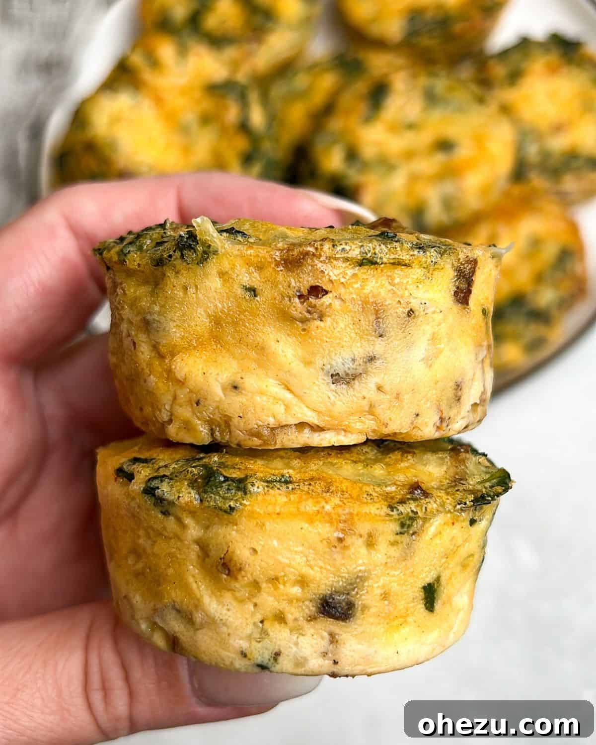 Enjoy two delicious, fluffy, and protein-packed kale and mushroom egg bites held up, ready to be eaten. A hand holding two perfectly baked kale and mushroom egg bites, showcasing their fluffy texture.
