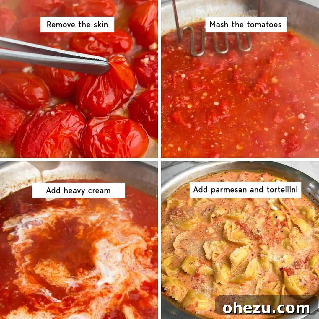 Close-up step-by-step instructions for making creamy tomato pasta, visually appealing.