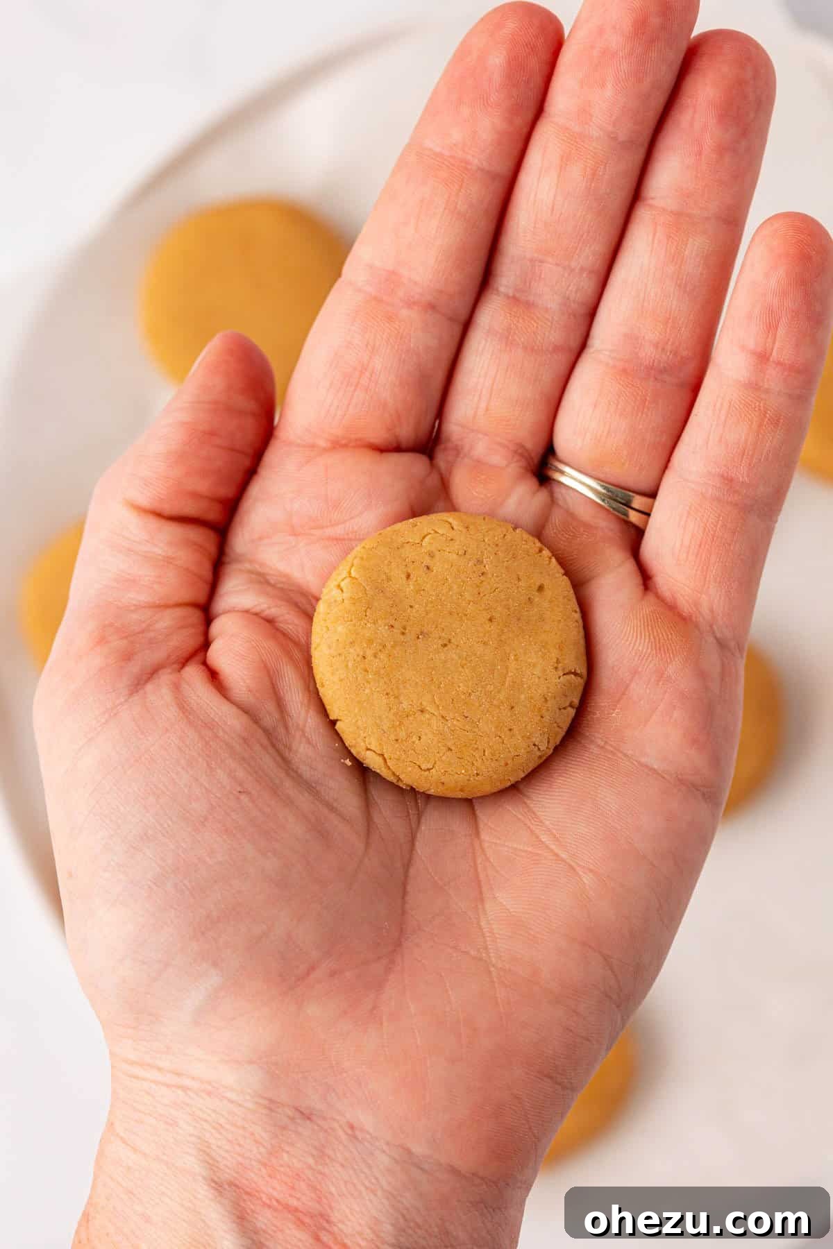 Hand holding a shaped peanut butter filling disc