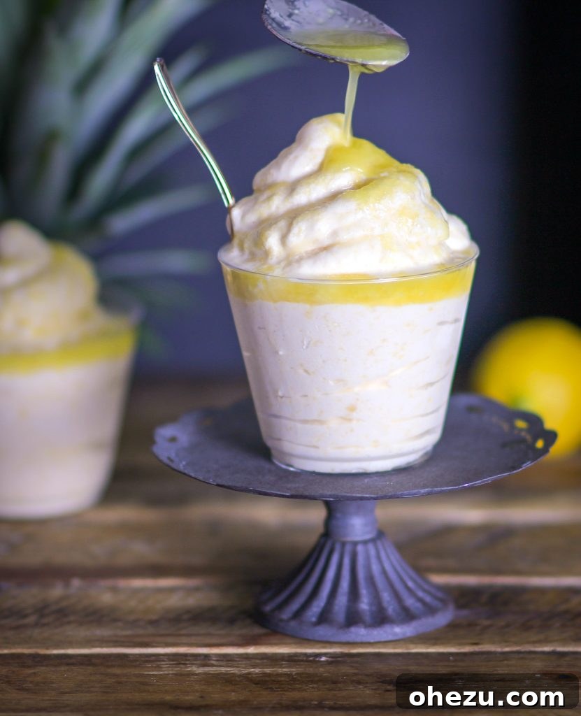 The Authentic Disney Dole Whip Recipe You've Been Waiting For 2 The Ultimate Disney Dole Whip Copycat Recipe