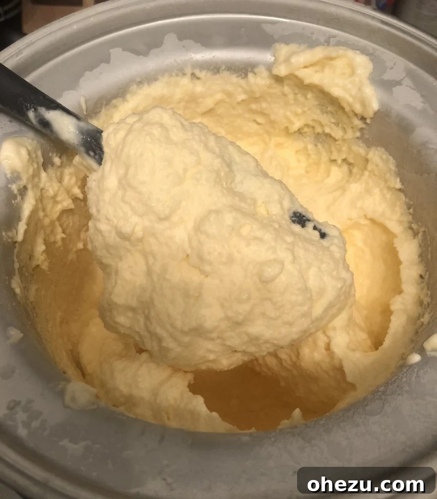 The Authentic Disney Dole Whip Recipe You've Been Waiting For 7 Perfectly Churned Disney Dole Whip