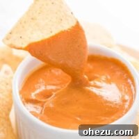 chip dipped in vegan queso