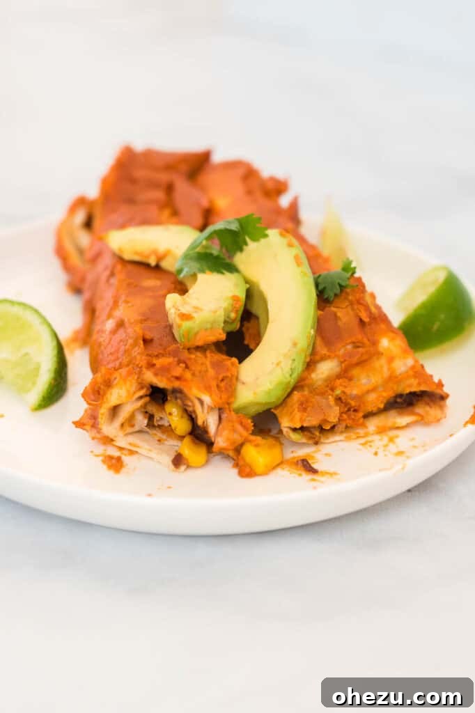 A top-down view of two beautifully plated vegan enchiladas, topped with vibrant green avocado and fresh cilantro, with lime wedges positioned for serving.