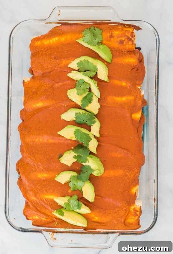 Freshly baked vegan enchiladas, golden and bubbly from the oven, adorned with vibrant sliced avocado and fresh cilantro, showcasing their delectable readiness.