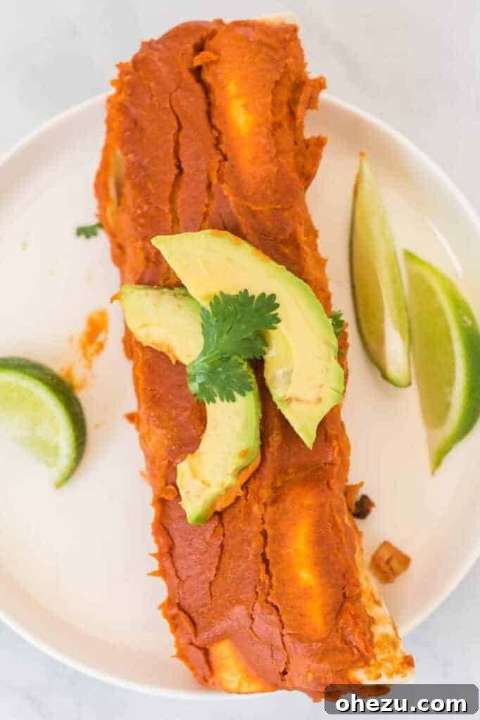 Two individual vegan enchiladas plated, garnished with avocado and cilantro, accompanied by lime wedges, highlighting a perfect single serving presentation.