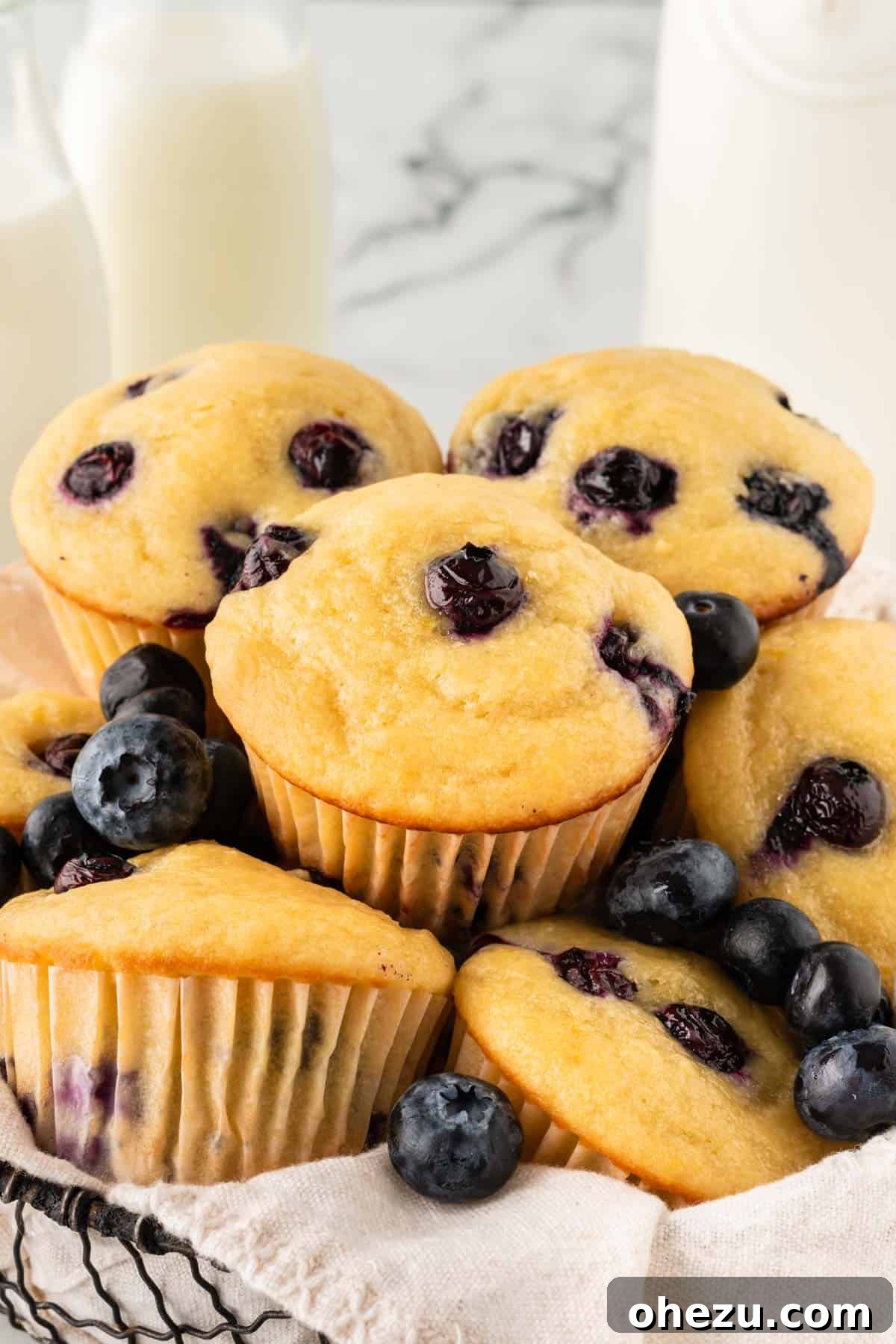 Moist Greek Yogurt Blueberry Muffins 2 Beautifully baked fluffy Greek yogurt blueberry muffins, golden brown with fresh blueberries visible.