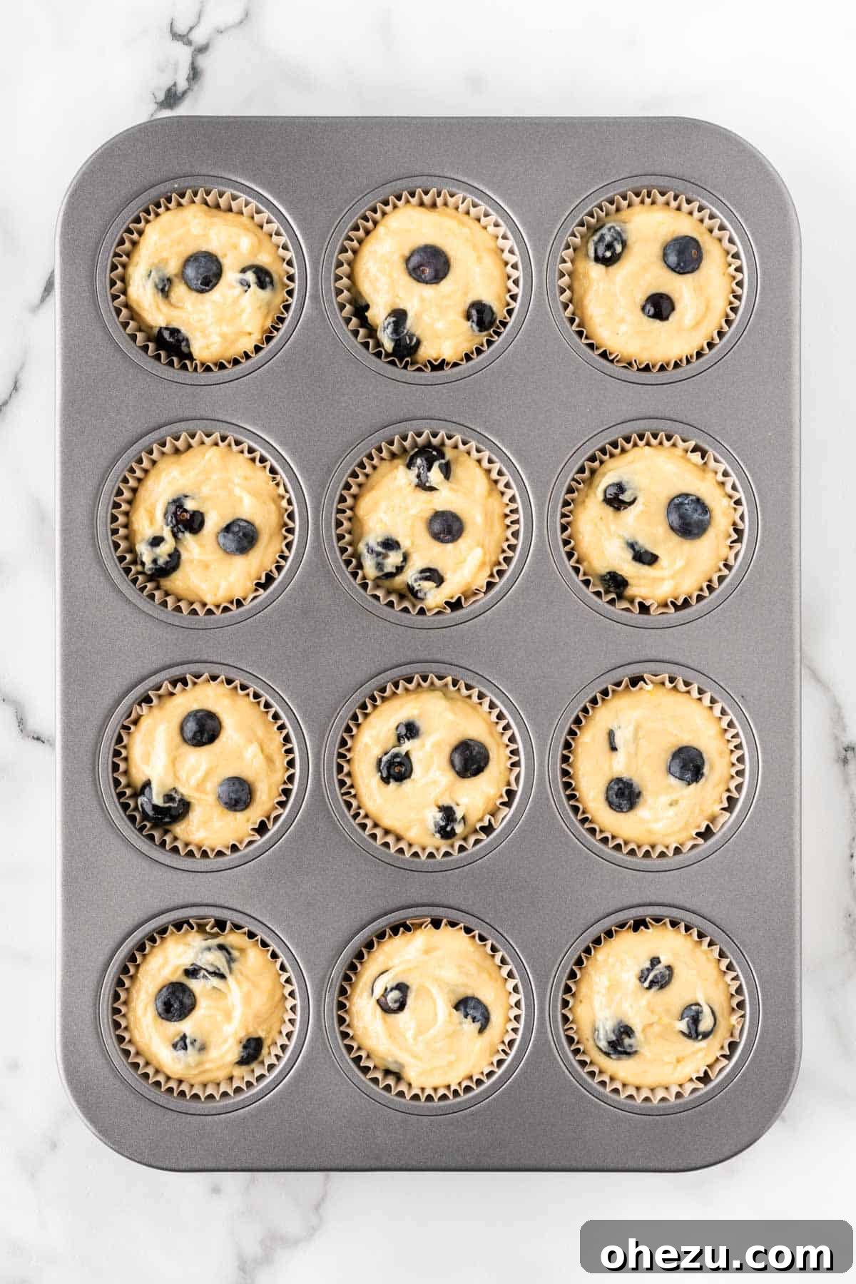 Moist Greek Yogurt Blueberry Muffins 12 Muffin tin lined with parchment paper cups, neatly filled with Greek yogurt blueberry muffin batter.