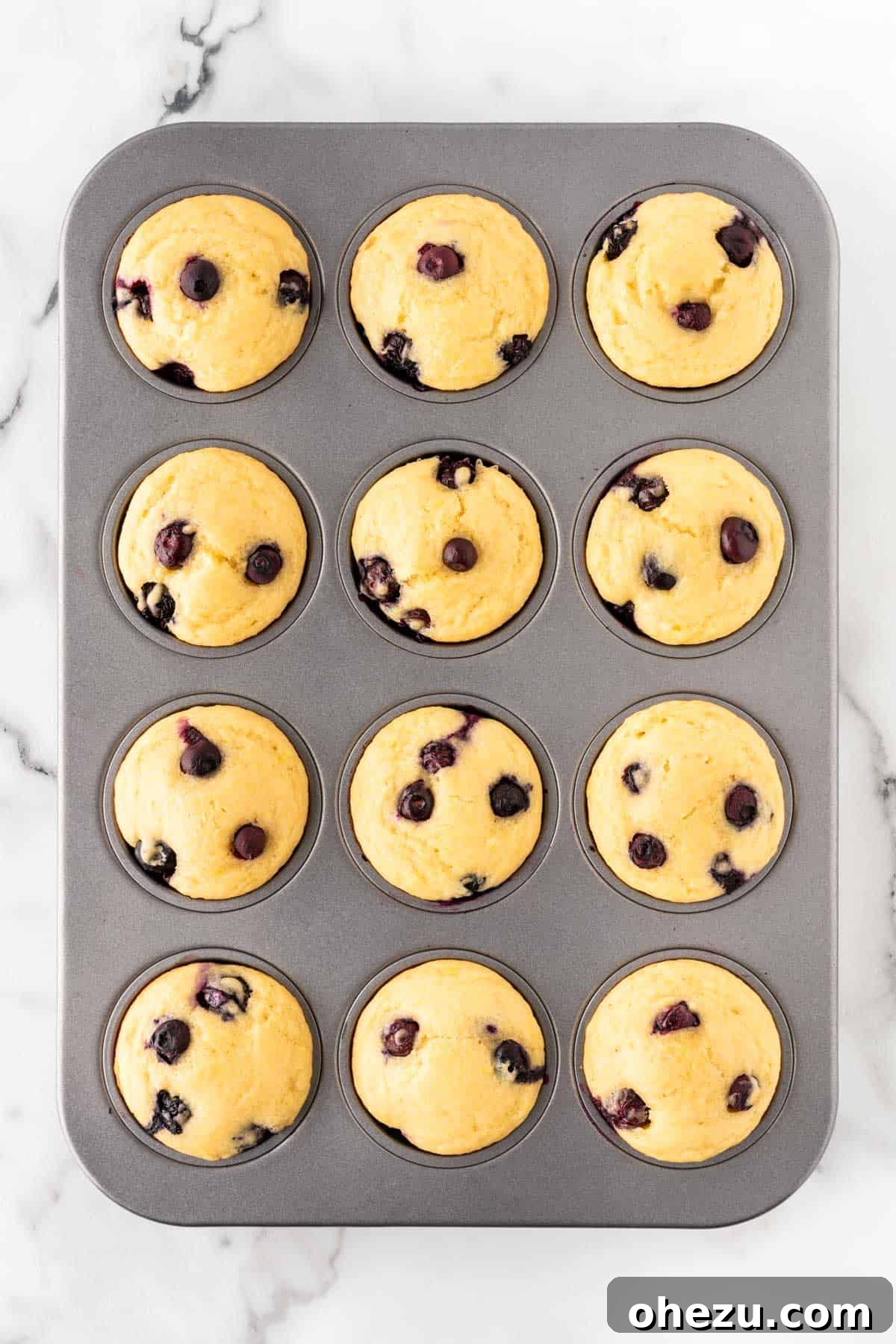 Moist Greek Yogurt Blueberry Muffins 13 Freshly baked Greek yogurt blueberry muffins still in the muffin pan, displaying their golden-brown tops and fluffy texture.