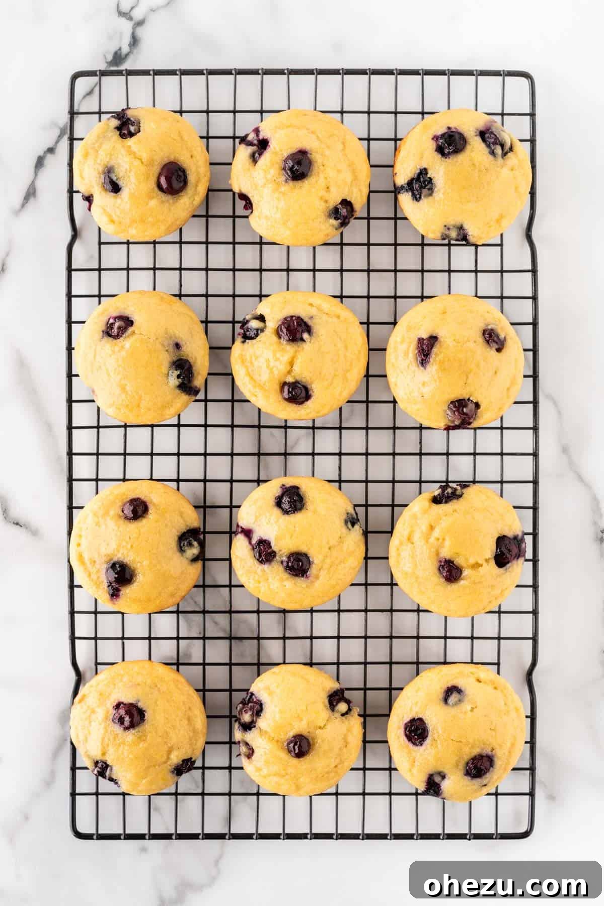 Moist Greek Yogurt Blueberry Muffins 14 Warm Greek yogurt blueberry muffins cooling on a wire rack after being removed from the baking pan.