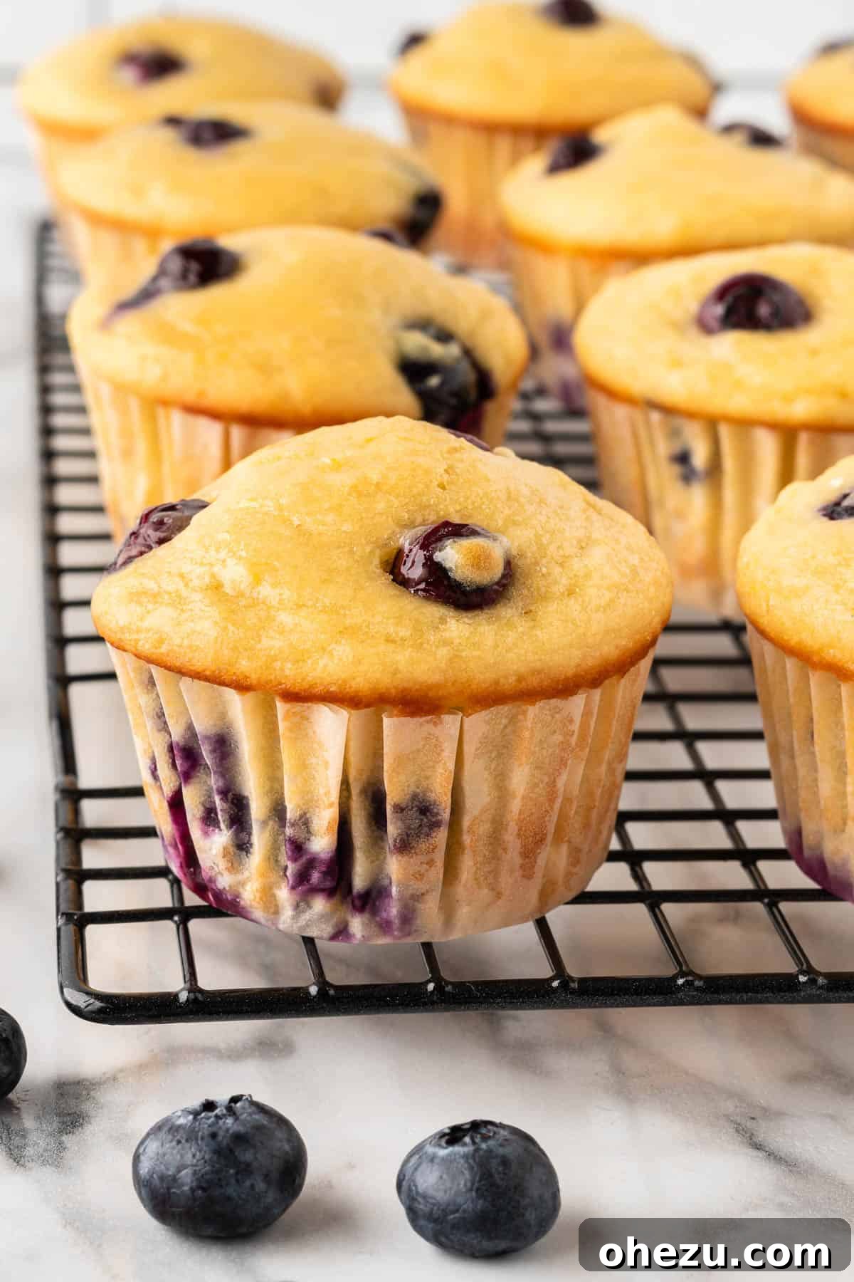 Moist Greek Yogurt Blueberry Muffins 17 A batch of freshly baked Greek yogurt blueberry muffins cooling on a wire rack, ready to be enjoyed.