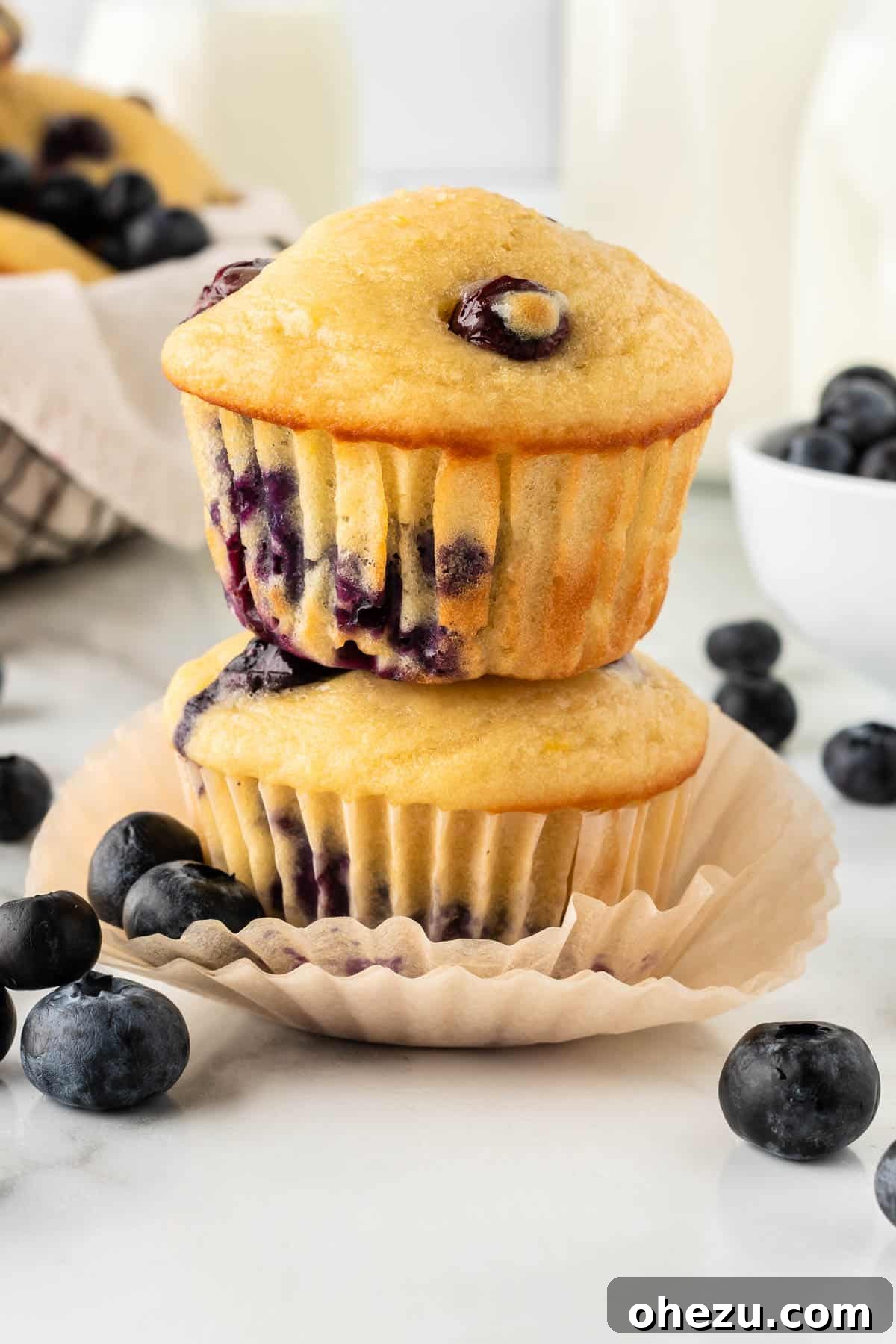 Moist Greek Yogurt Blueberry Muffins 3 Two perfectly baked Greek yogurt blueberry muffins stacked on a cooling rack, showcasing their fluffy texture and golden-brown tops.
