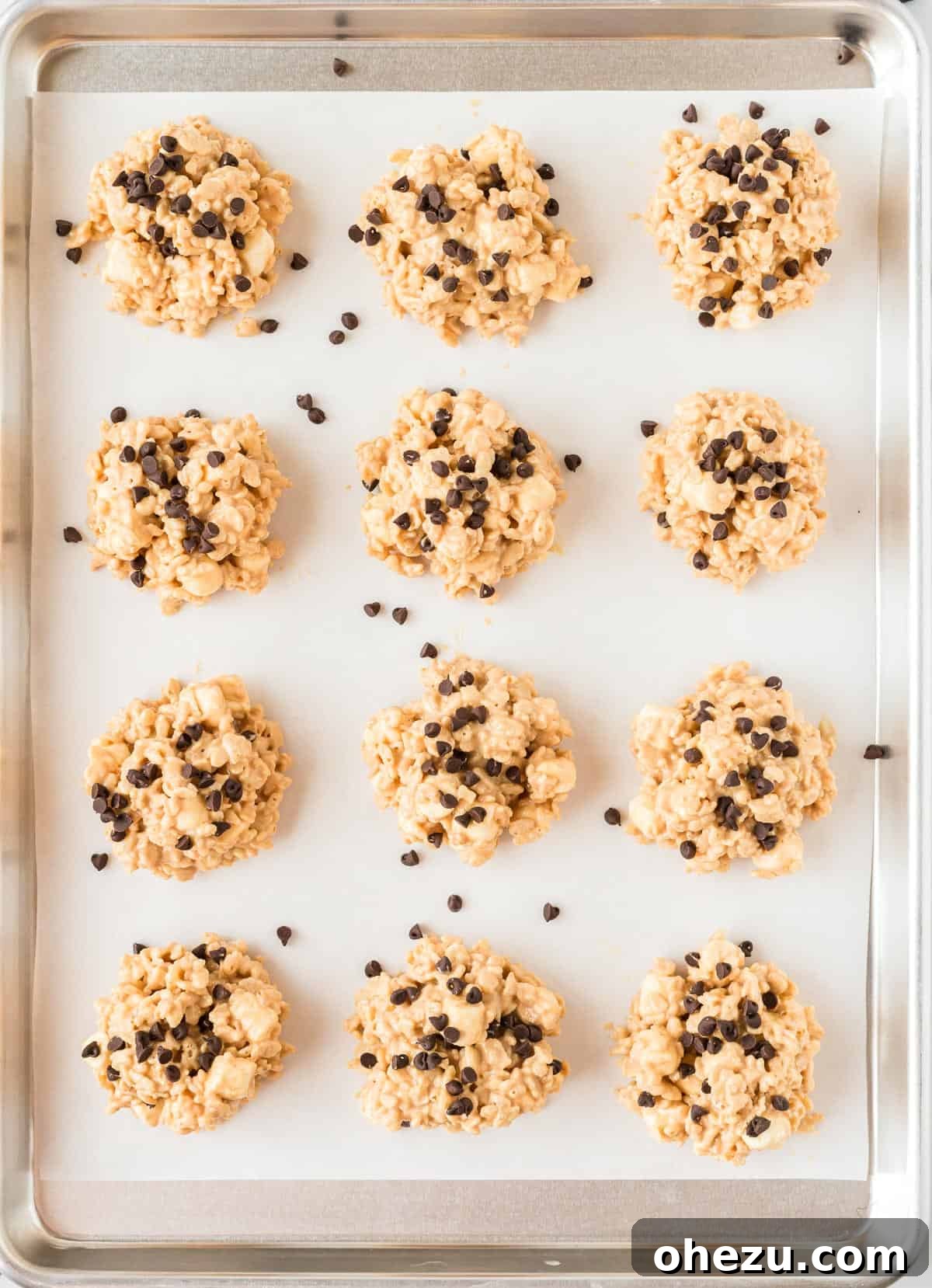 Kitchen Sink Cookies 12 Finished avalanche cookies generously topped with mini chocolate chips, ready for a quick chill in the refrigerator