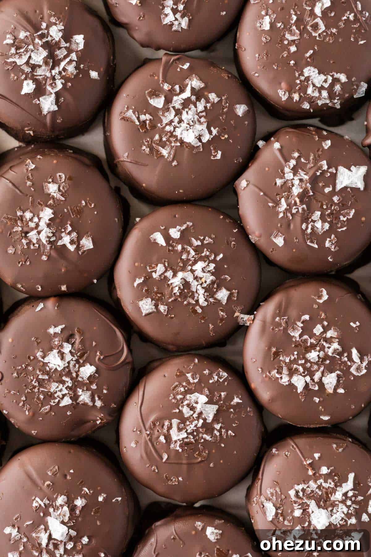 Close-up of a Ritz Cracker Cookie topped with flaky sea salt