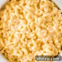 creamy greek yogurt mac and cheese