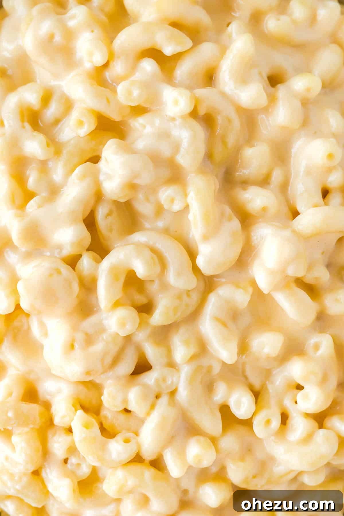 Tangy Greek Yogurt Mac and Cheese 8 creamy greek yogurt mac and cheese