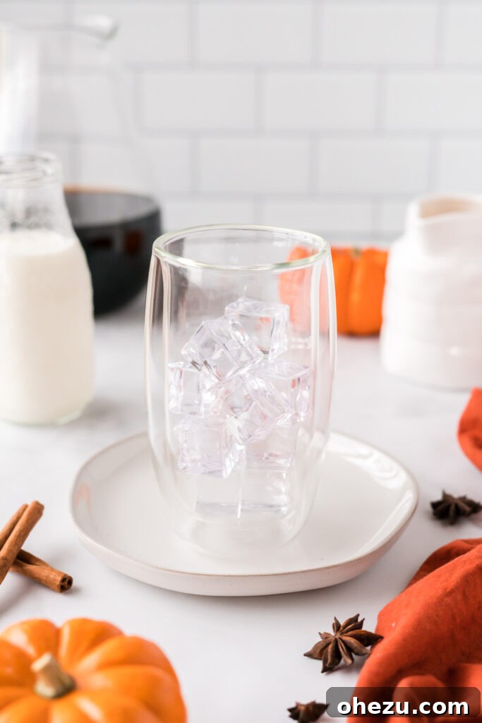 Spiced Pumpkin Cold Brew 7 A clear glass filled to the brim with ice cubes, ready for the cold brew.