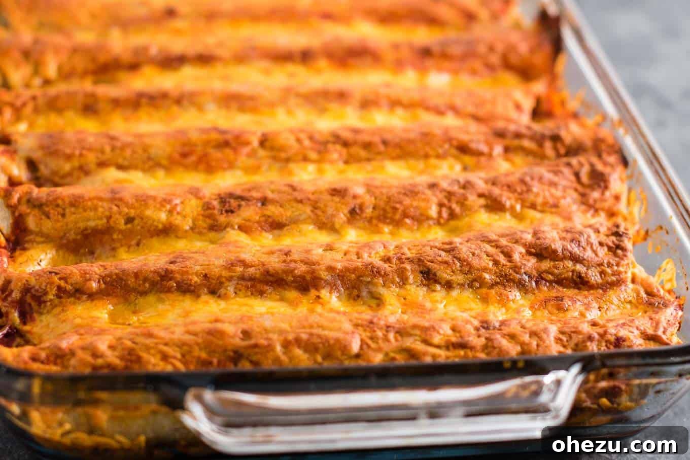 Velvety Bean Enchiladas 5 enchiladas with refried beans
