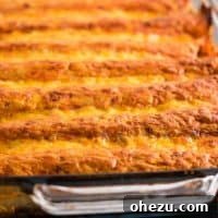 Velvety Bean Enchiladas 9 Delicious Refried Bean Enchiladas