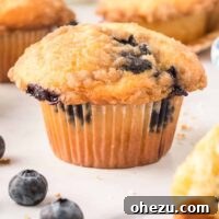 blueberry muffin