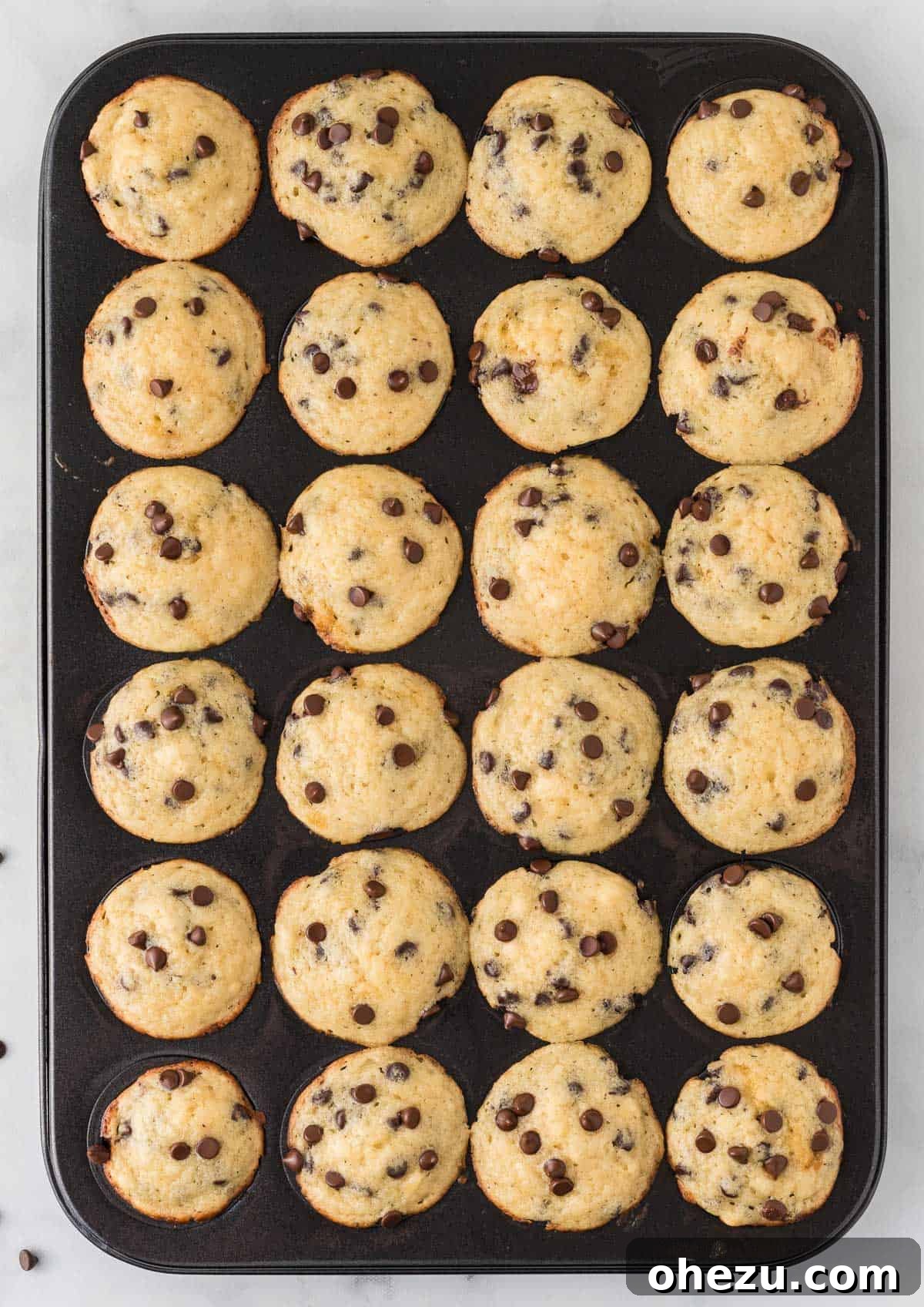 Freshly baked mini chocolate chip muffins cooling in the muffin tin, golden brown and perfectly risen.