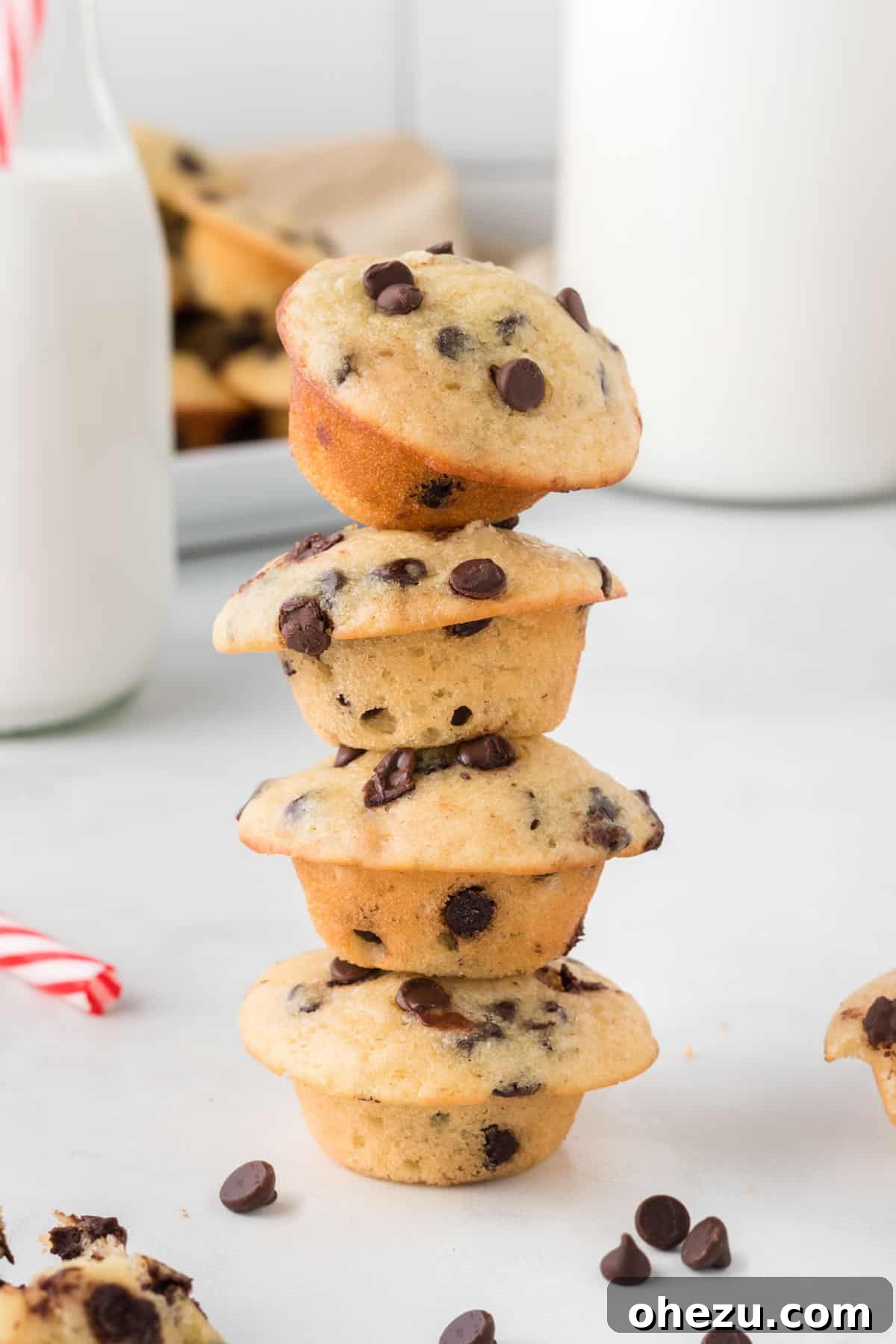 A cluster of mini muffins, showcasing their golden tops and rich chocolate specks.