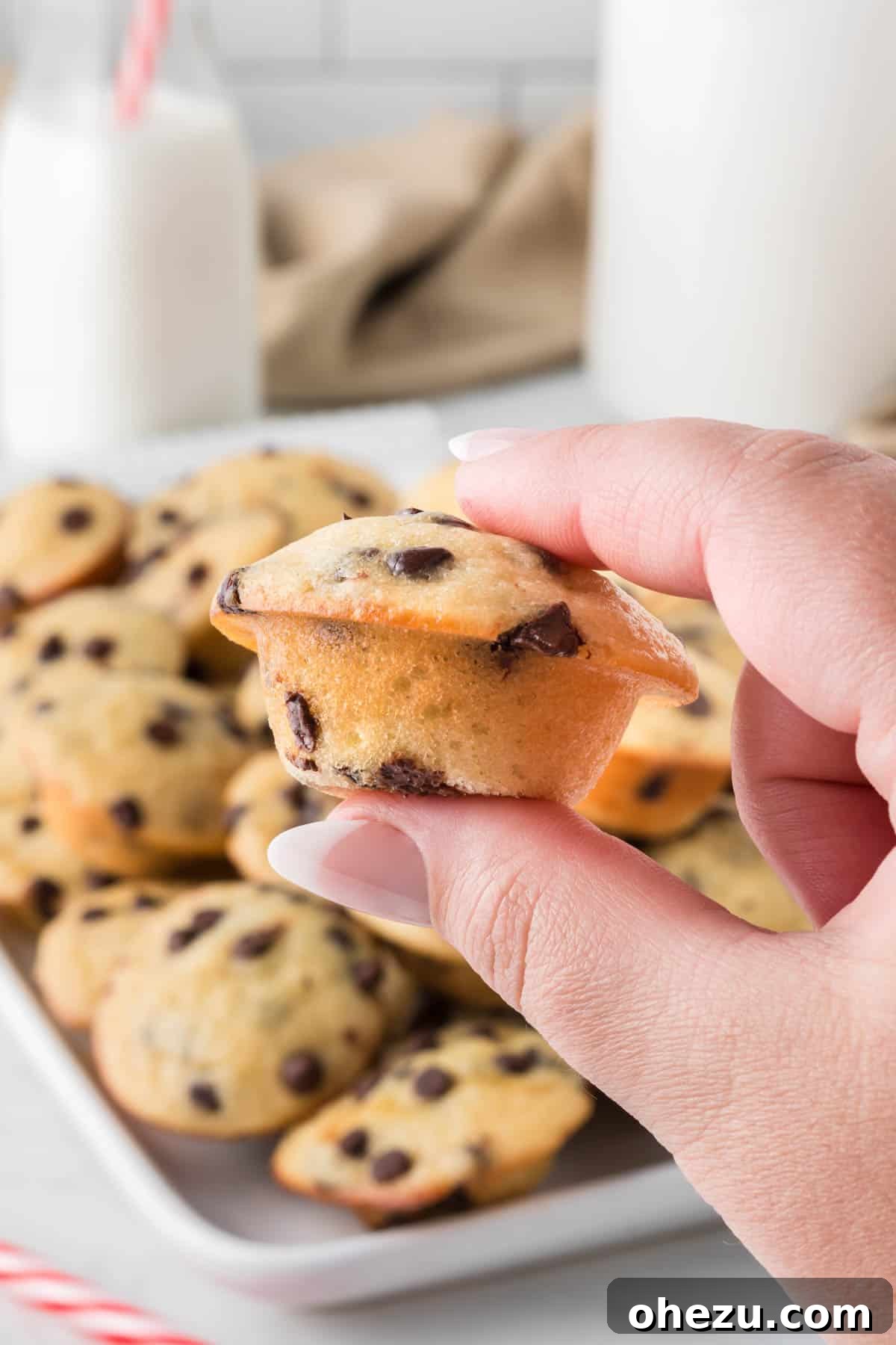 A hand gently holding a single mini chocolate chip muffin, showcasing its fluffy texture and generous chocolate chips.