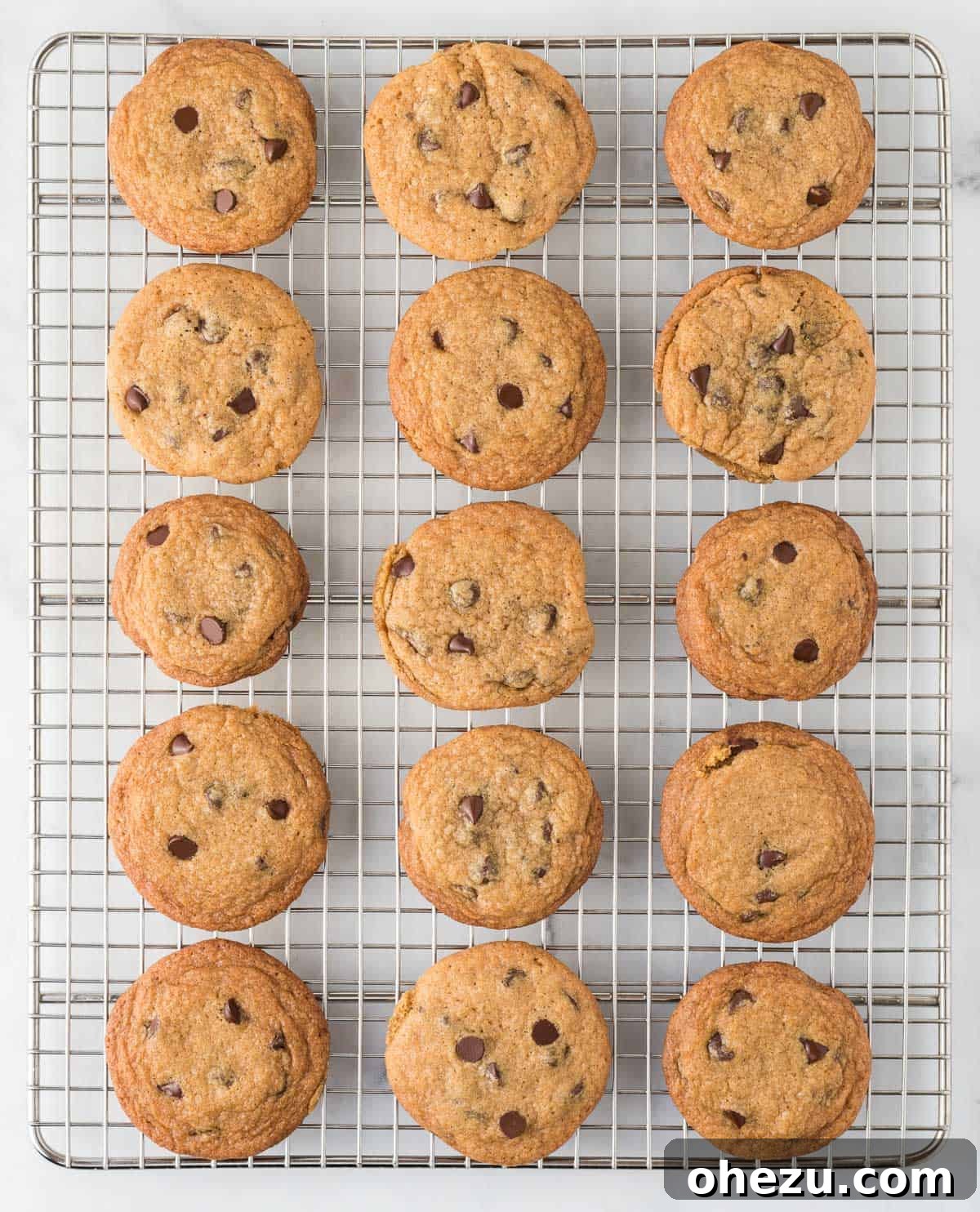 Decadent Dairy-Free Chocolate Chip Cookies 13 Freshly baked dairy-free chocolate chip cookies cooling on a wire rack