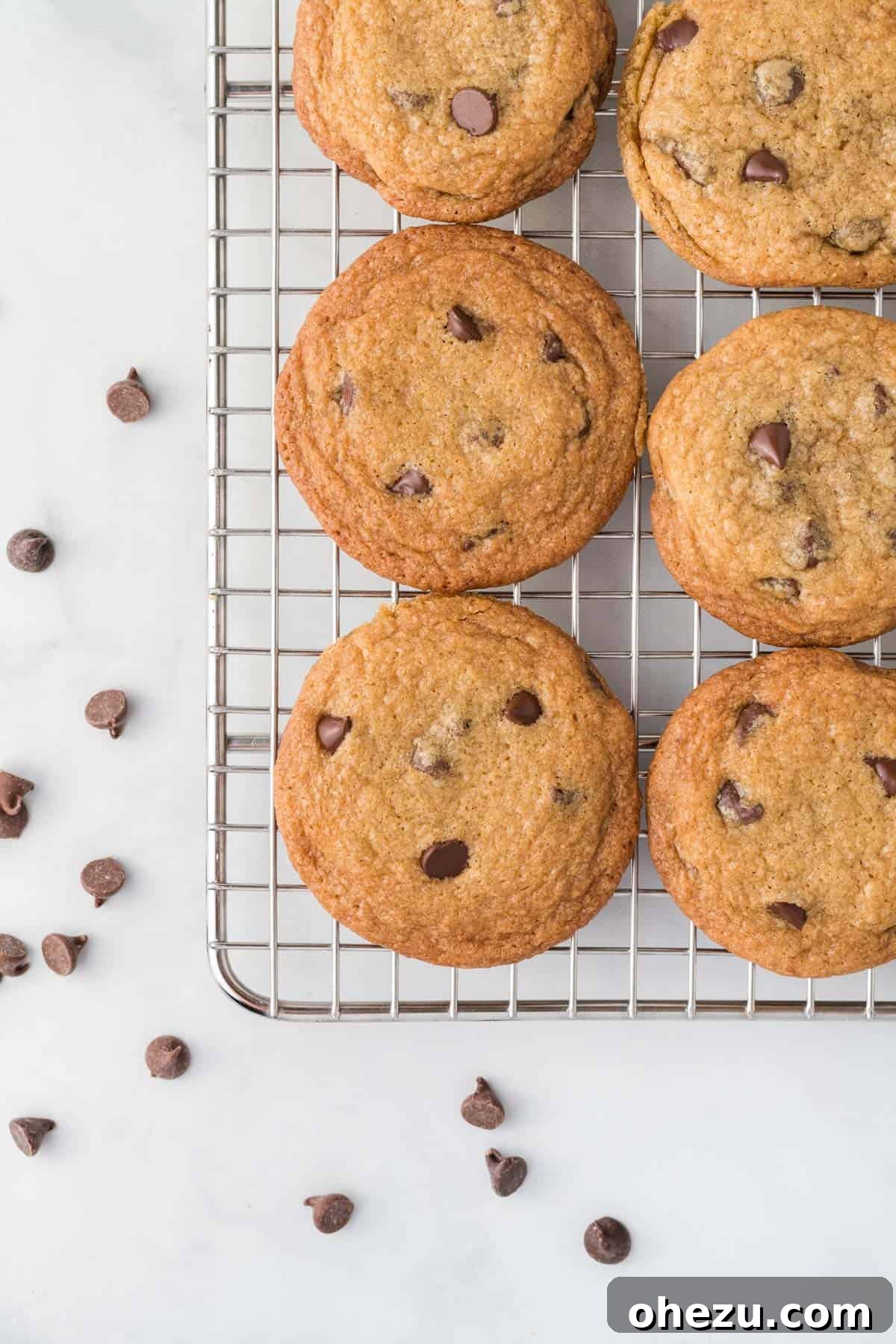 Decadent Dairy-Free Chocolate Chip Cookies 16 Freshly baked chocolate chip cookies cooling on a wire rack