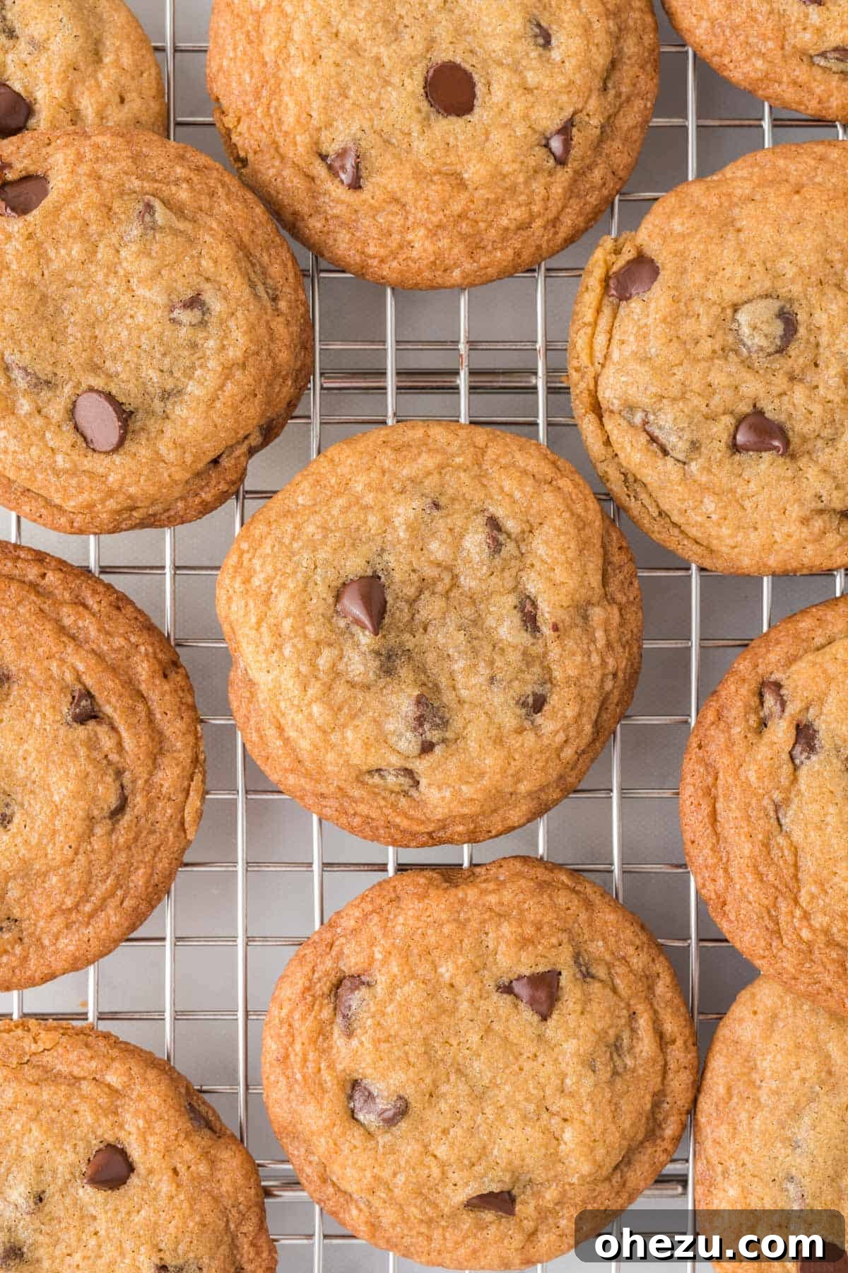Decadent Dairy-Free Chocolate Chip Cookies 3 Freshly baked dairy-free chocolate chip cookies cooling on a wire rack