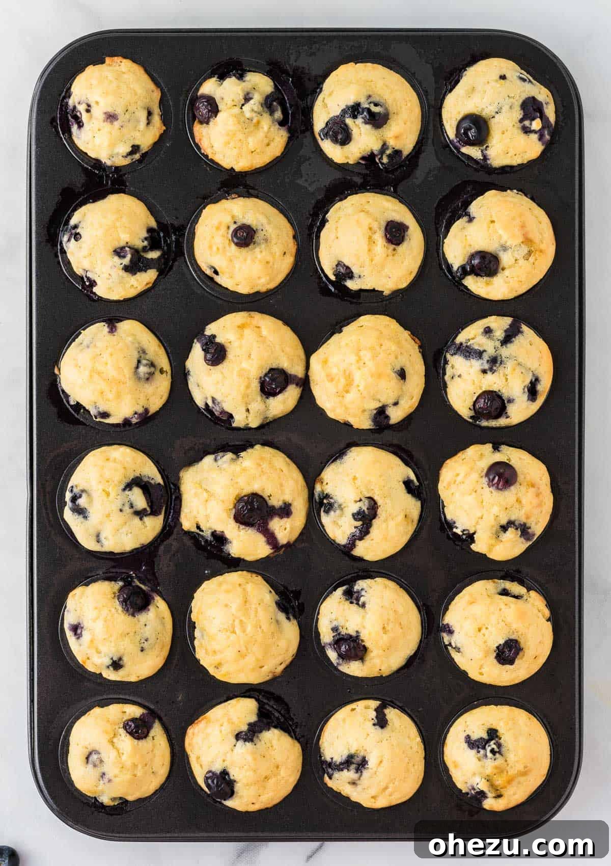 Blueberry Poppers 16 Freshly baked blueberry mini muffins cooling slightly in the muffin tin.