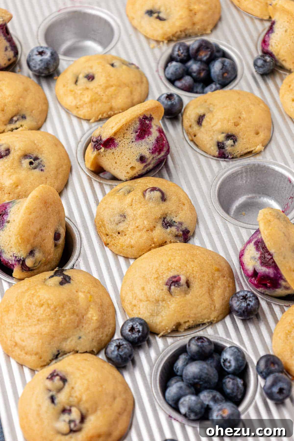 Blueberry Poppers 18 Close-up of a perfectly baked blueberry mini muffin, showing its moist interior and plump blueberries.