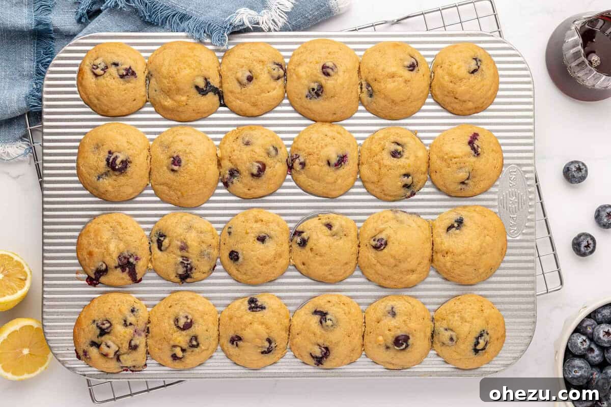 Blueberry Poppers 19 Full mini muffin tin with freshly baked blueberry muffins, showcasing their golden tops and numerous berries.