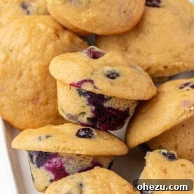 mini blueberry muffins