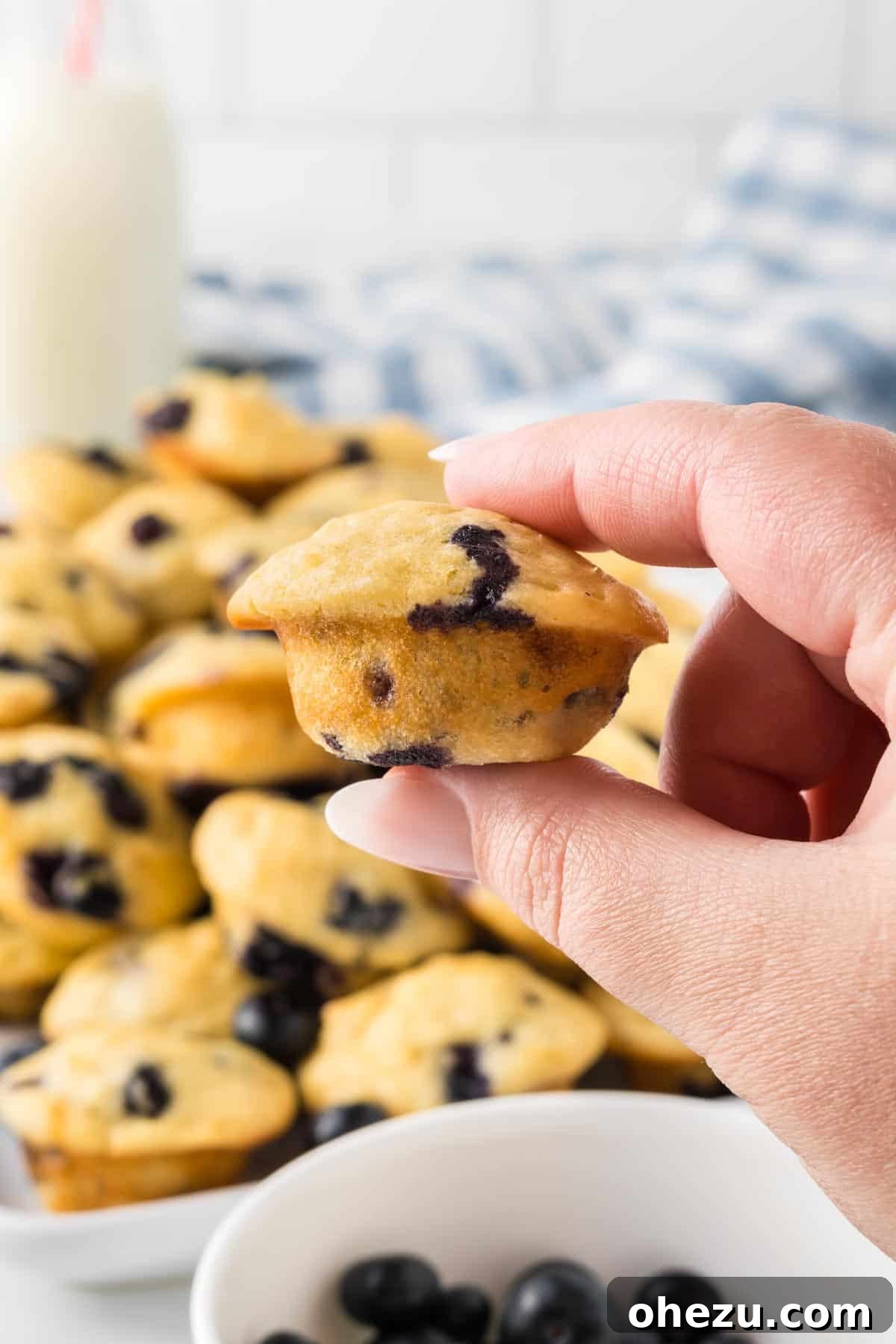 Blueberry Poppers 21 A hand holding a single perfectly baked blueberry mini muffin, showing its fluffy texture.