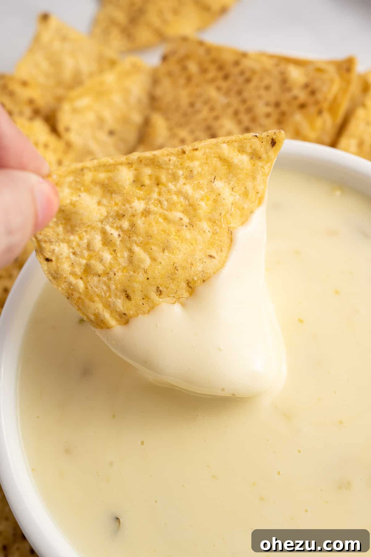Fresh White Cheese 2 dipping a chip into queso blanco