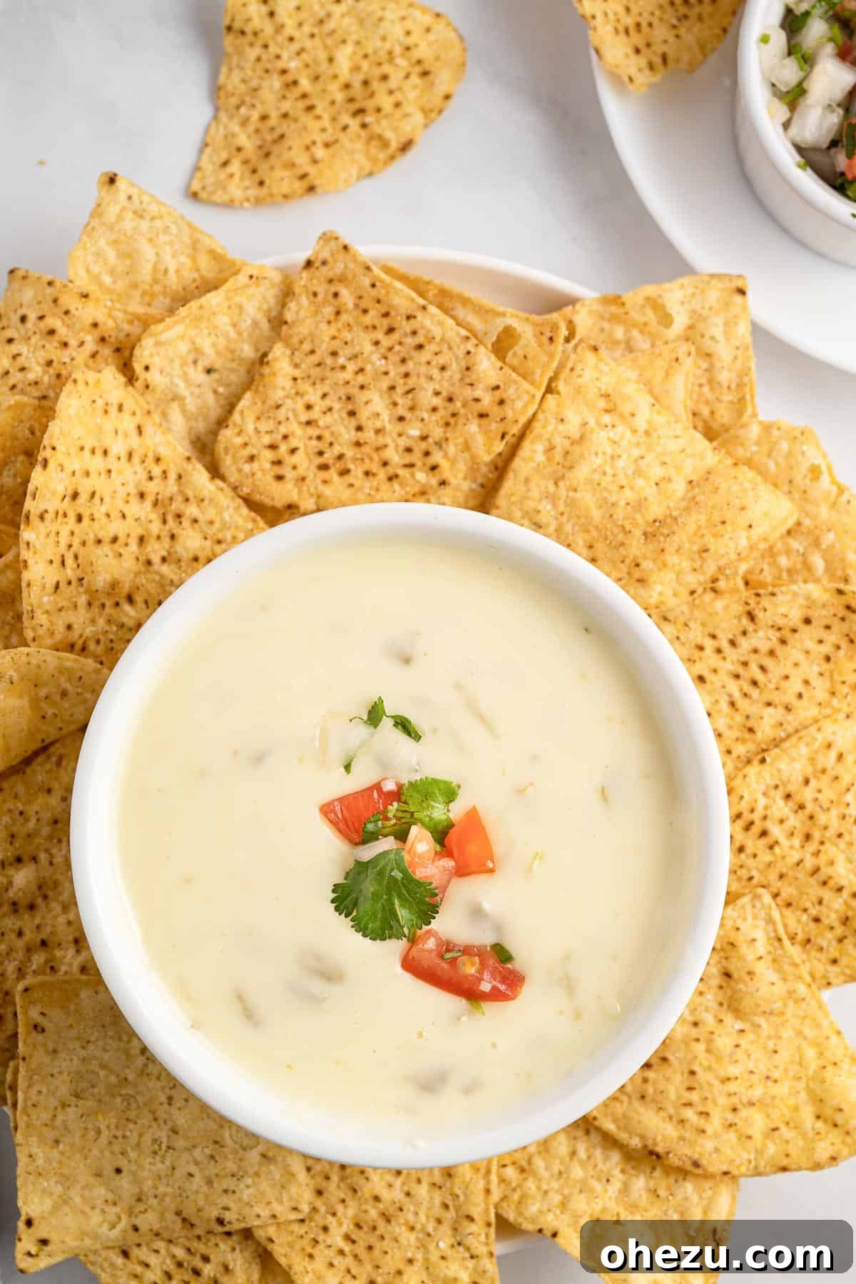 Fresh White Cheese 7 queso dip in a bowl surrounded by chips