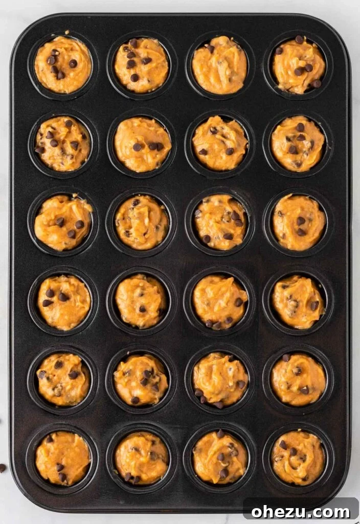 A mini muffin tin neatly filled with pumpkin chocolate chip batter, prepped and ready to go into the oven.